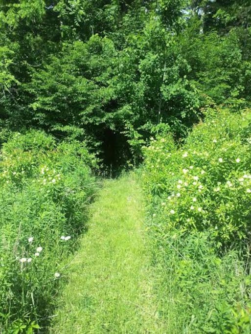 Explore the trails