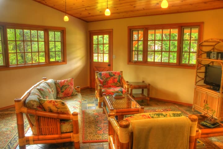 Haunani House In Volcano Village - Volcano, HI