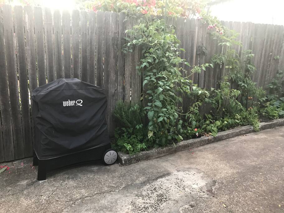 Weber BBQ