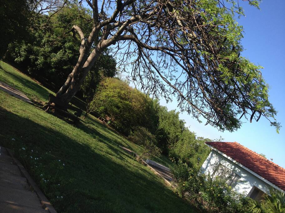 Suites + muita natureza