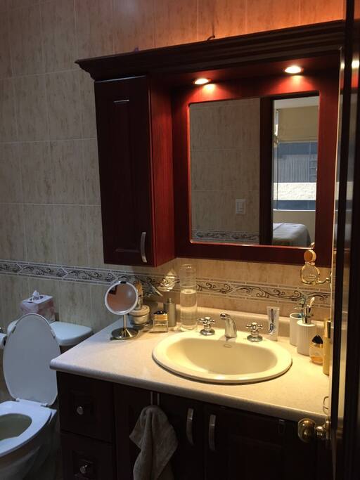 Master bedroom bathroom