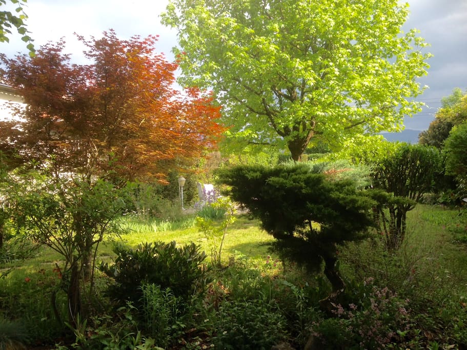 Jardin