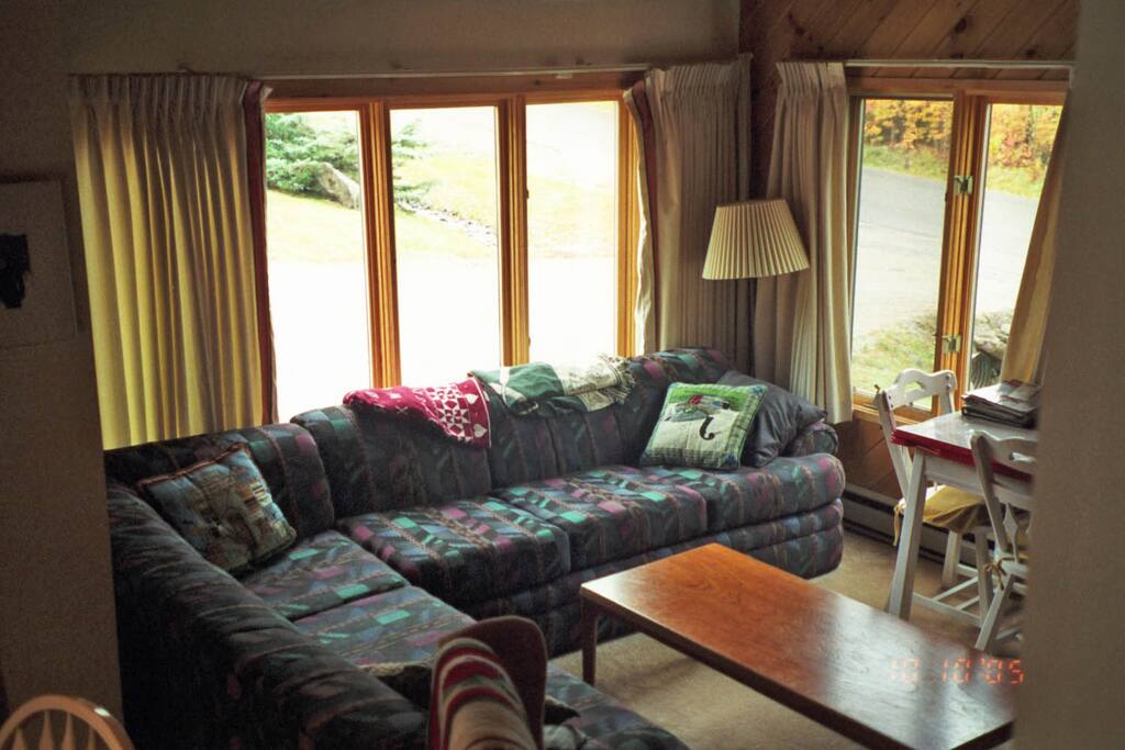 Cozy living room with mountain views