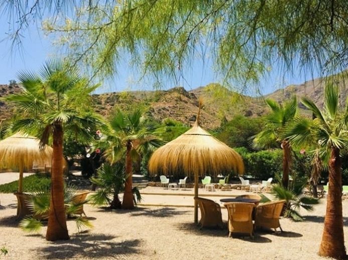 A sunlit outdoor area features lush palm trees and a thatched umbrella covering a round table surrounded by wicker chairs. The background reveals a tranquil space with additional seating, set against a scenic mountain landscape.