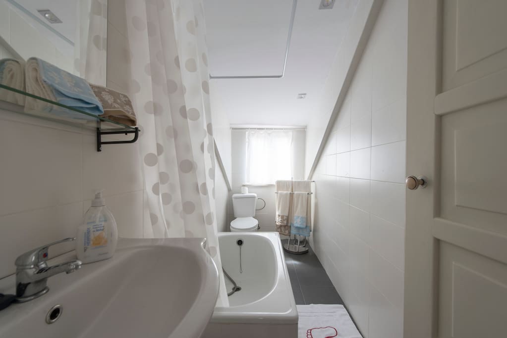 Bathroom with mini bathtub