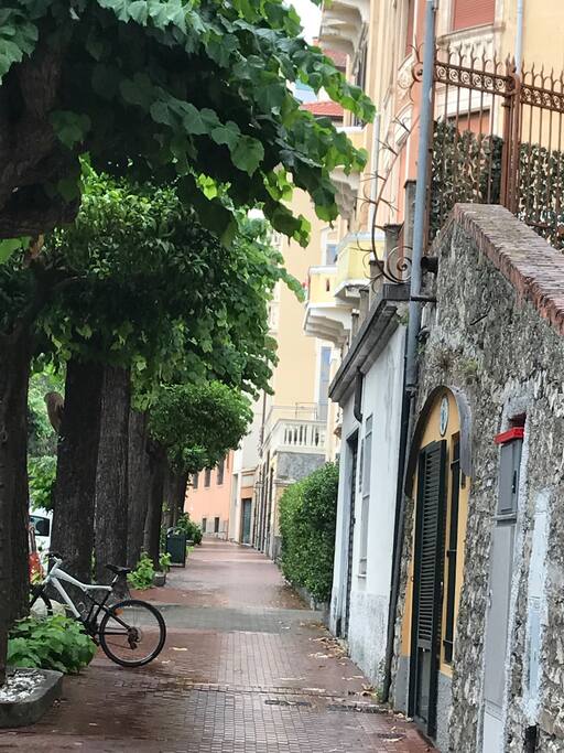 Viale Rainusso