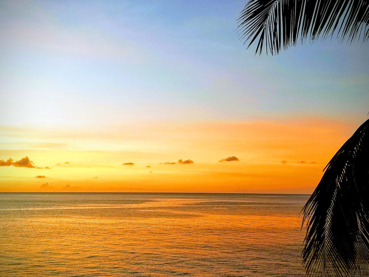 A serene ocean view captures the vibrant colors of sunset, with hues of orange and yellow blending into the tranquil blue water. The horizon is adorned with soft clouds, while a palm frond gently frames the image, providing a sense of peaceful seclusion.