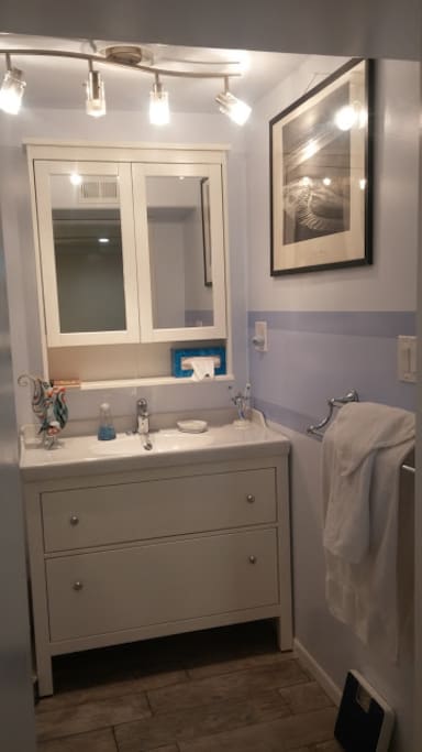 Lower Level Bathroom