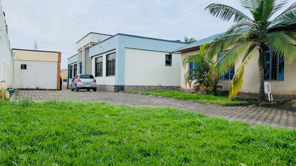 A spacious compound is portrayed, featuring three semi-detached flats with large windows. The well-maintained garden with lush green grass provides ample space for outdoor activities. A paved driveway accommodates a parked car, while palm trees add a tropical touch to the serene environment.