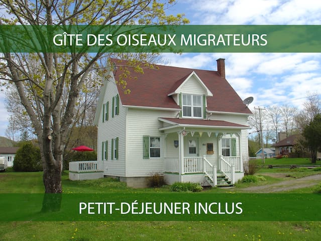 Oiseaux Migrateurs B&B - Balbuzard Pêcheur