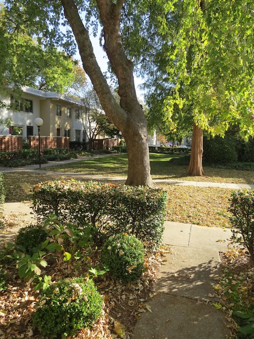 View of front courtyard