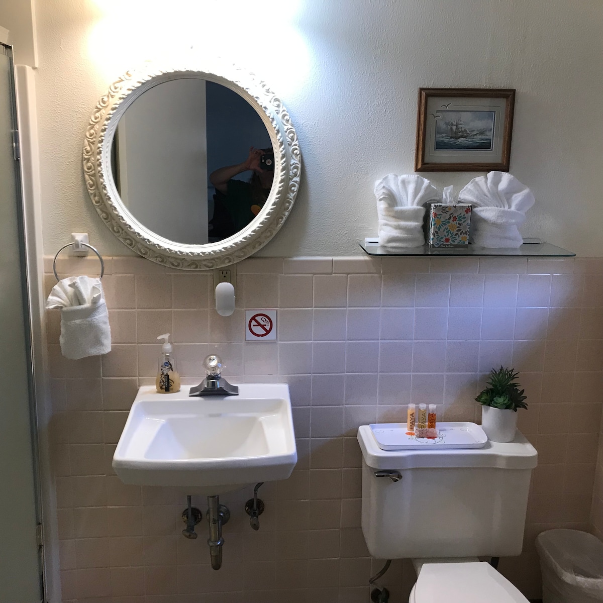The bathroom features pastel pink tiles, a white sink with a mirror above, and neatly arranged towels. A small shelf holds a decorative box and a potted plant, while a soap dispenser and a hand towel are within reach. A sign indicates a no smoking policy.