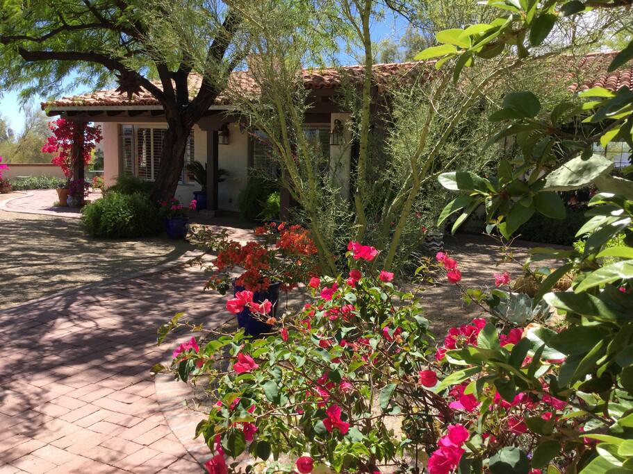 Front Courtyard