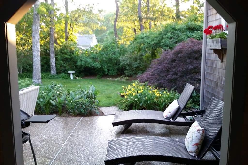 Relax on the back patio