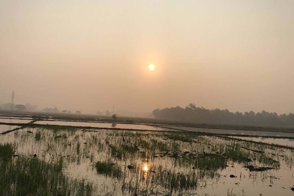 Sonnenaufgang über Reisfelder