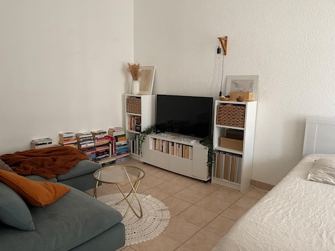 Popular Airbnb listing: Cozy and beautiful studio! Great location! in Lausanne