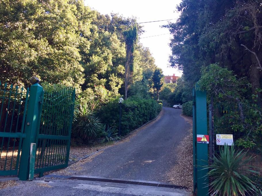L'ingresso del parco