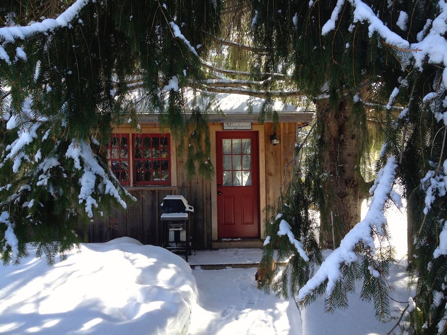 Winter Wonderland