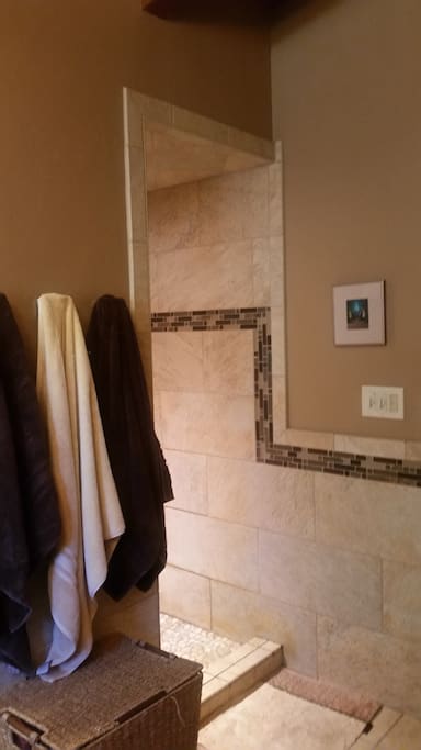 Walk-in shower