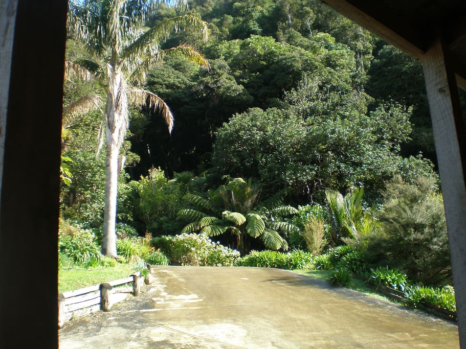 View from the front door