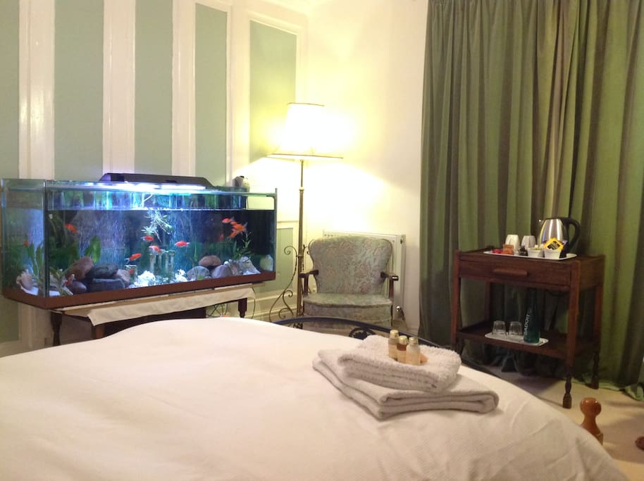 Relaxing alternative to the TV