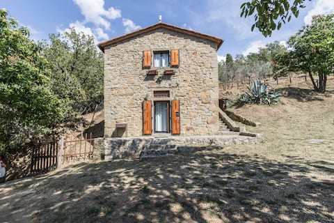 Proprietà Airbnb di successo: The Casetta in Biccheri's forest a Castelfranco Piandiscò