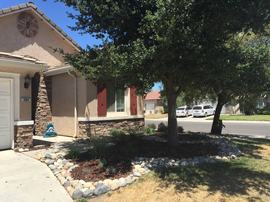 New drought tolerant landscaping on a drip system.