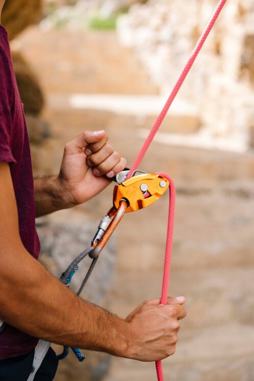 Show full-screen, host-provided image