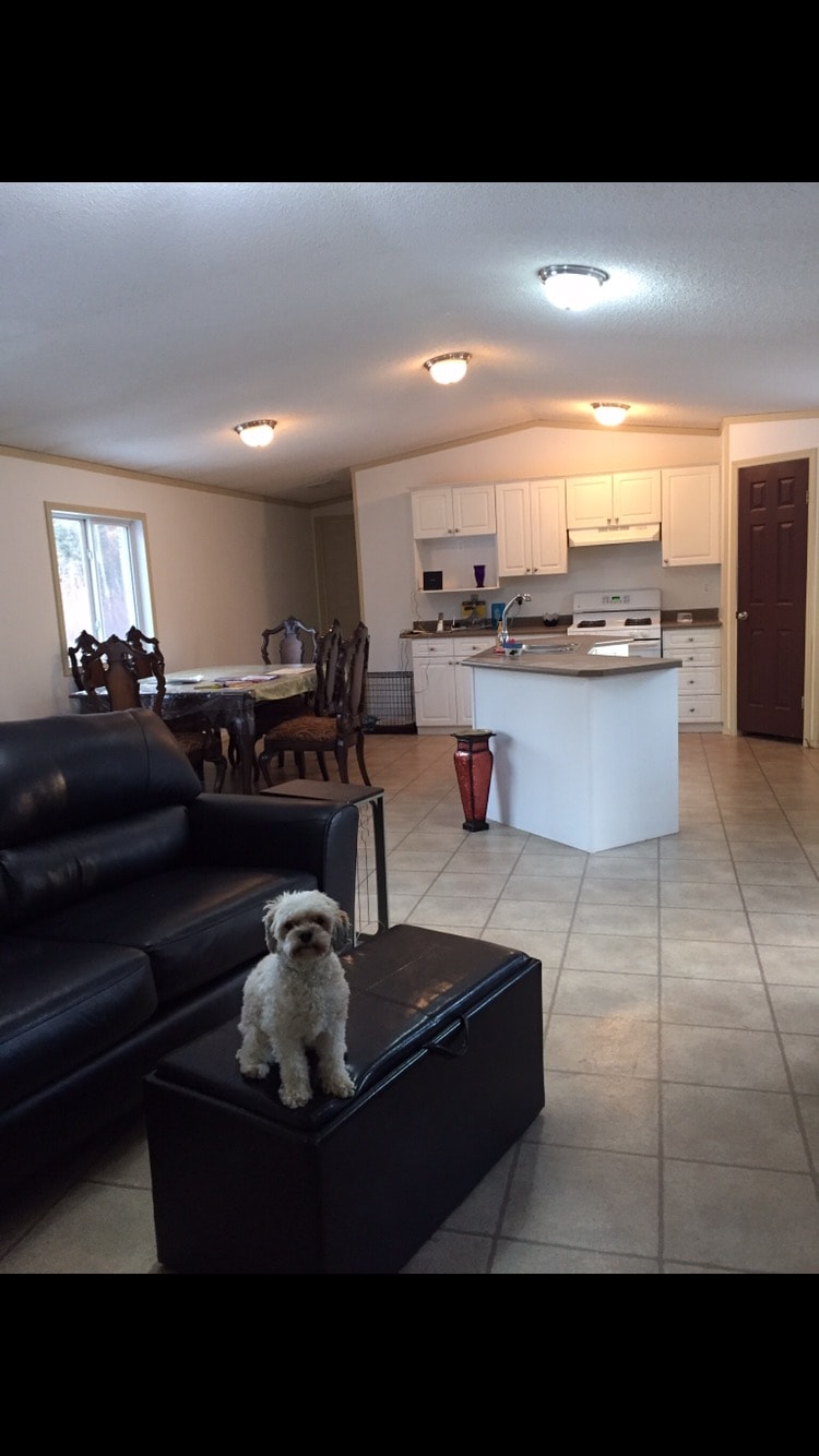 An open living area is featured, showcasing a black leather couch and a coffee table. A small dog sits on a black storage ottoman. The kitchen area is visible in the background, with white cabinetry and a dining table set for six. Natural light enters through a nearby window.