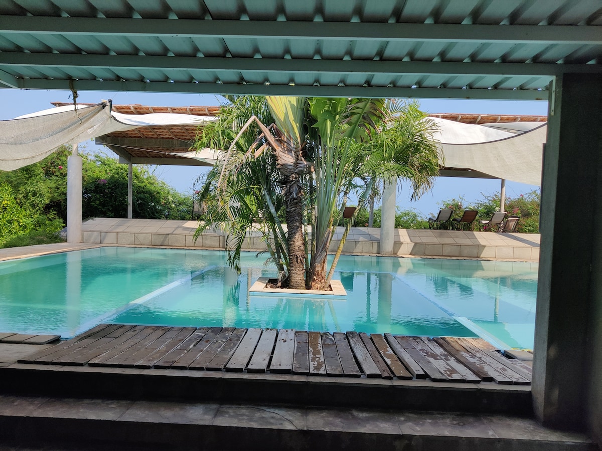 The image showcases a tranquil swimming pool area, featuring a central palm tree surrounded by clear water. Wooden decking lines one side, while shaded seating options can be seen in the background, integrated with lush greenery. Sunlight reflects off the water surface, creating a serene atmosphere.