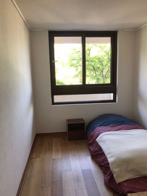 1 habitación