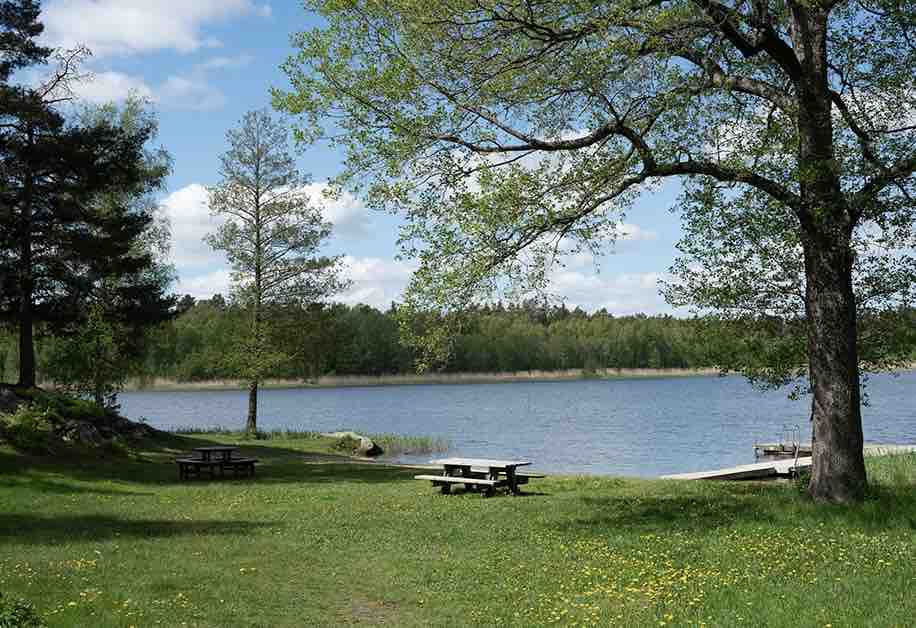 A serene lakeside view is presented, featuring a grassy area with several picnic tables positioned under lush trees. The clear water reflects the sky, while gentle hills outline the distant shore, contributing to a tranquil natural setting.