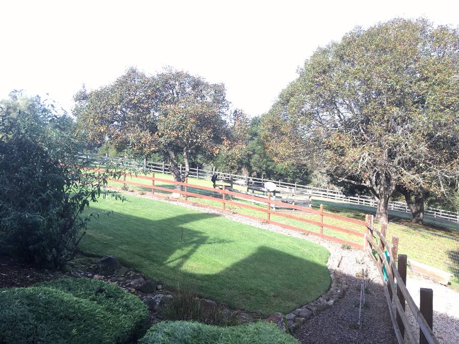 View from your private porch.