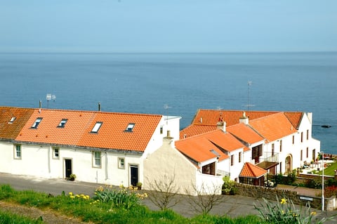 Popular Airbnb listing: Driftwood cottage in Fife