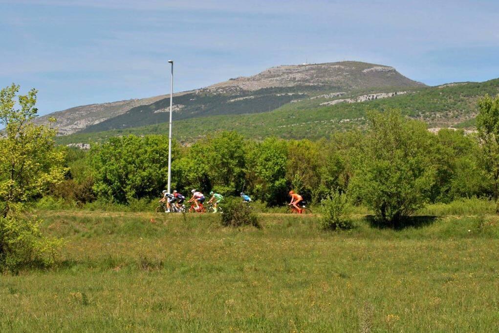 If you decide to go biking, there are many trails