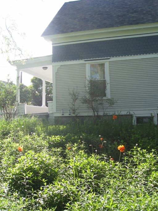 garden