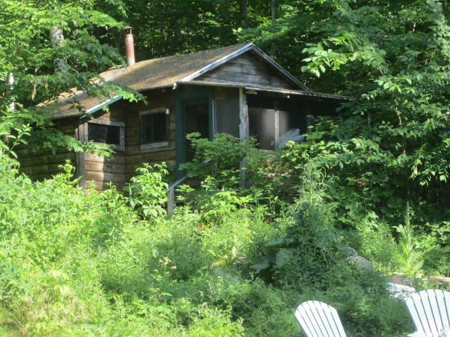 view from garden and lake