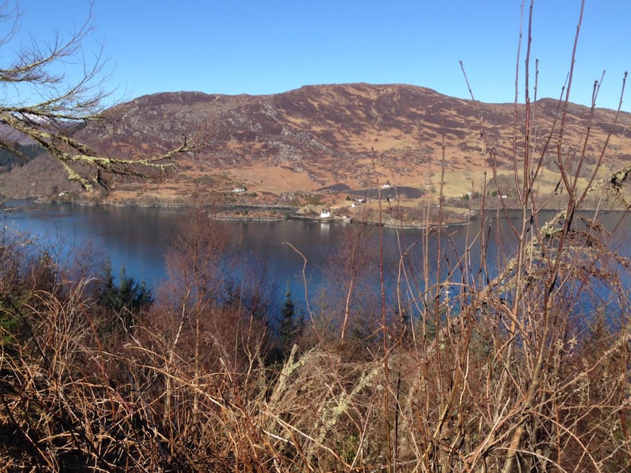Looking north across the loch.
