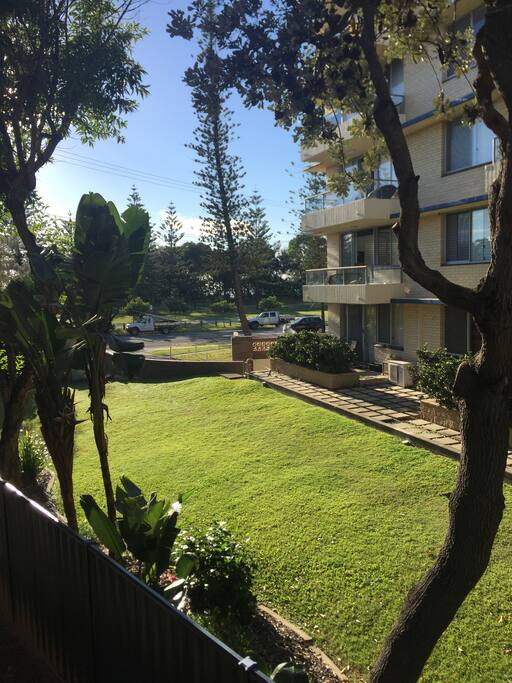 Glorious morning outlook from living room across neighbouring lawn, then quiet one way road, then park with glimpses of the ocean through the trees.