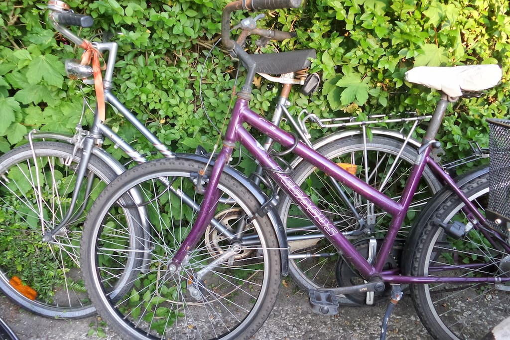 Your bikes - old but ridable