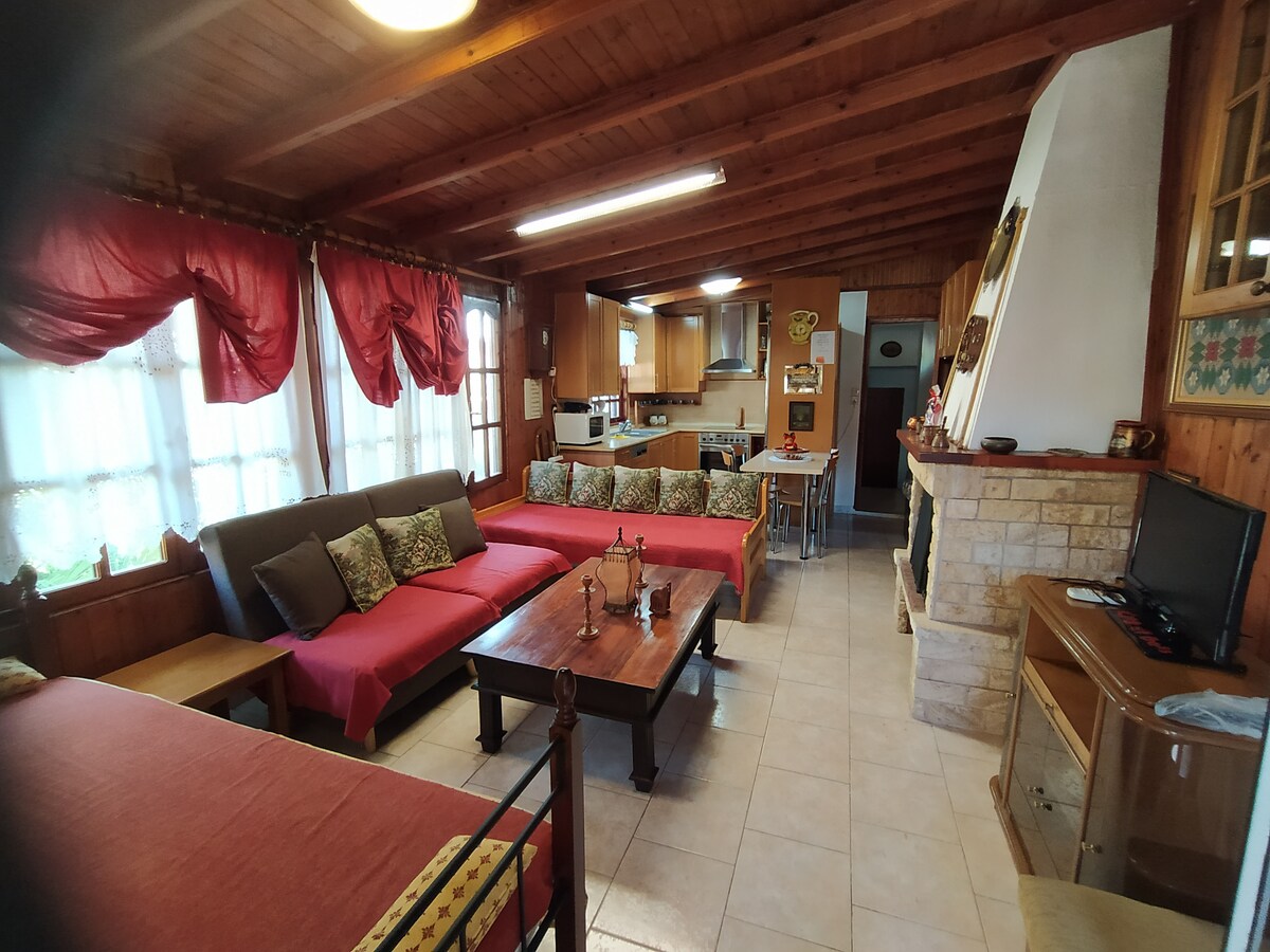 A cozy living area features a mix of sofas and seating, arranged around a central coffee table. Large windows allow natural light to fill the room, which is adorned with warm wooden paneling and decorative cushions. A TV and a stone fireplace contribute to the welcoming atmosphere.