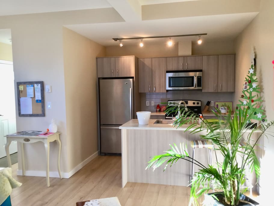 Well equipped spotlessly clean kitchen with stove, oven, microwave and full size fridge