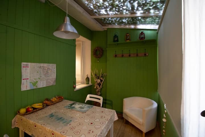 B&B CREMONA: " GREEN " apartment.