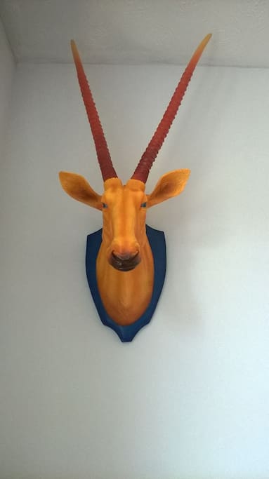 Meet your mascot - Nelson the gazelle.