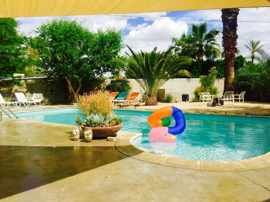Pool area for your complete use
