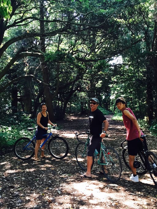 Rent a bicycle and maybe we can give you a tour!