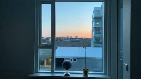 Cozy apartment  in heart of Reykjavík