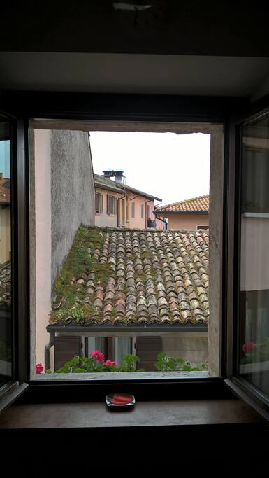Vista