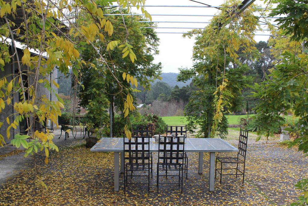 Terrace - Side View
