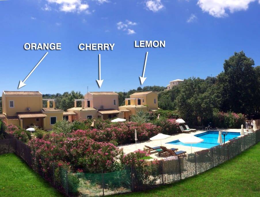 View of the complex - pool side